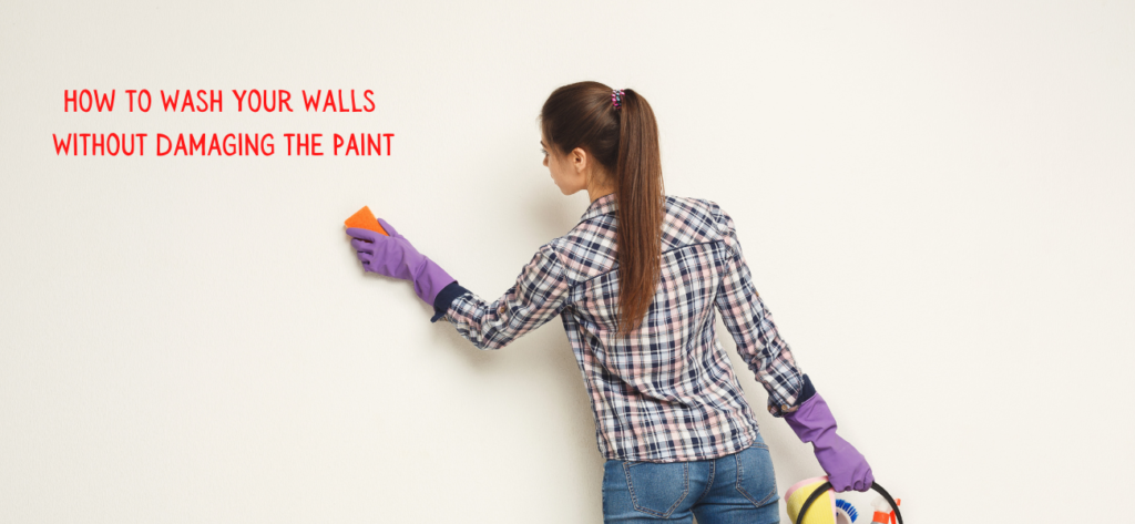 Wash Your Walls
