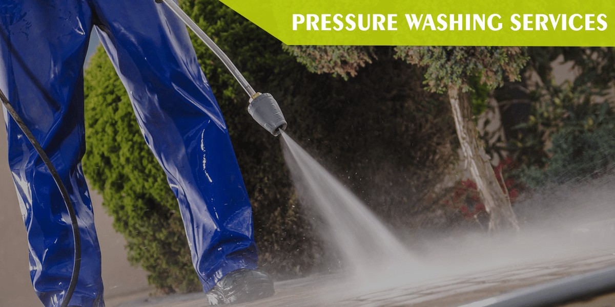 Why Roof Cleaning is Vital and the Best Way to Do It